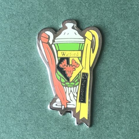 1999 Play Off Final Trophy Badge